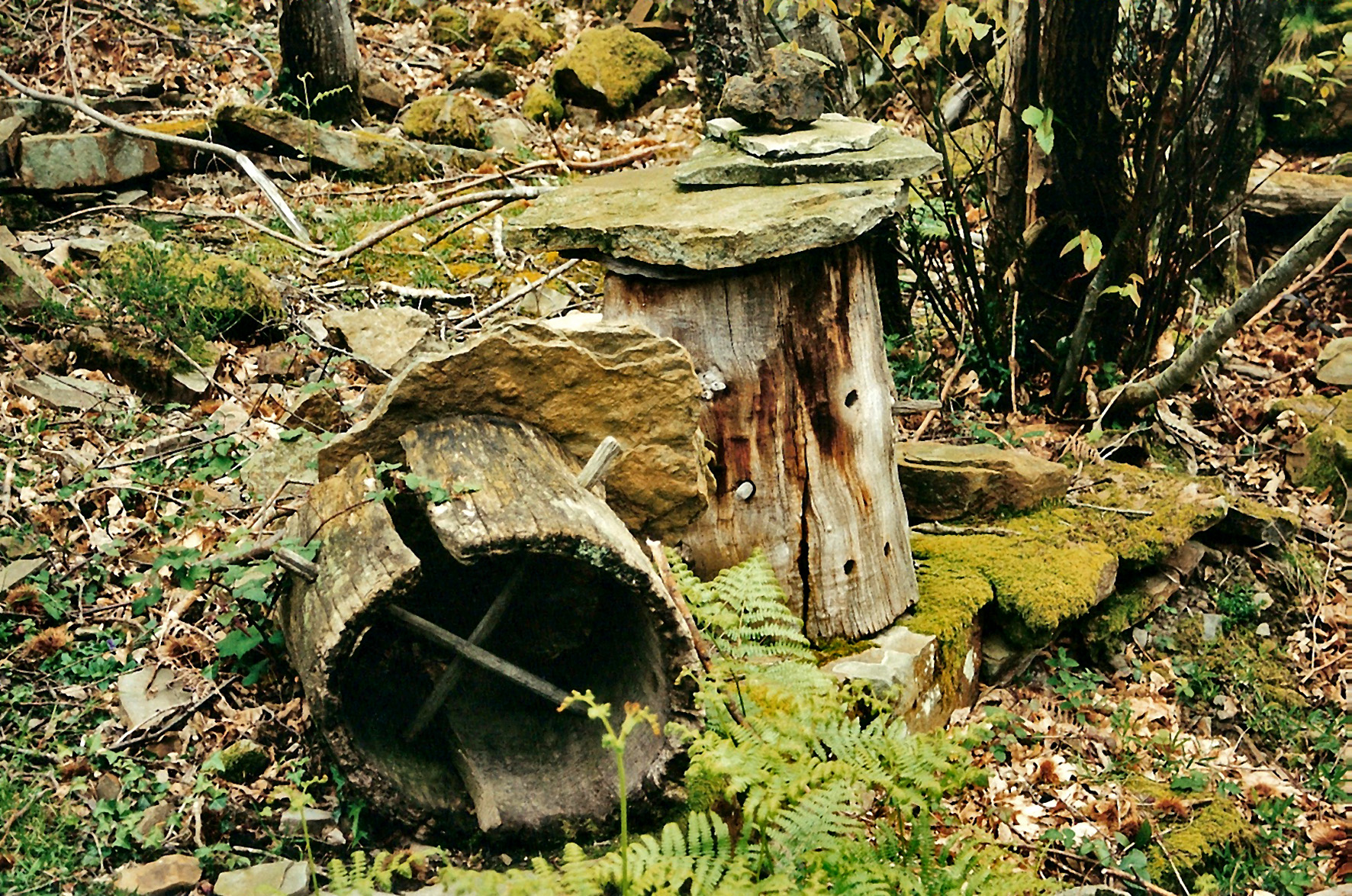 Old chestnut log hives. Miguel Sabino Díaz